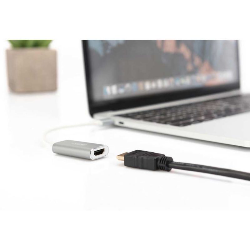 Adaptors | USB C To HDMI M/F Adapter 4K 30Hz Silver / White Adaptors Adaptors