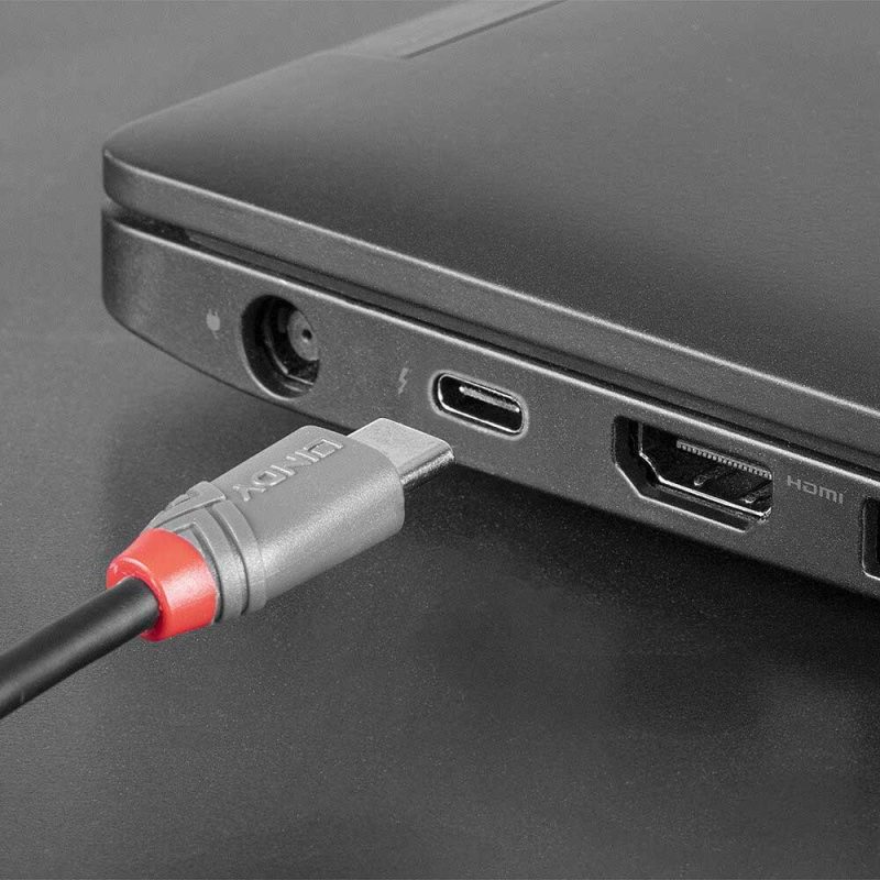 USB Cables | LINDY-36892 USB-C A Micro-B Cable 2 m Grey / Red Cables Grey